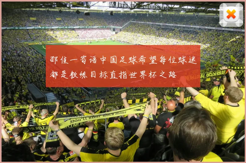 邵佳一寄语中国足球希望每位球迷都是教练目标直指世界杯之路