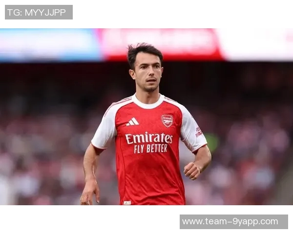 内维尔赞凯塞多为英超最佳中场卡拉格力挺赖斯更具全能与控球优势