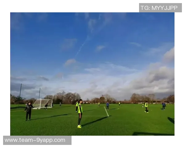 麦卡利斯特分析维尔茨与埃基蒂克的默契配合及其创造机会的战术优势